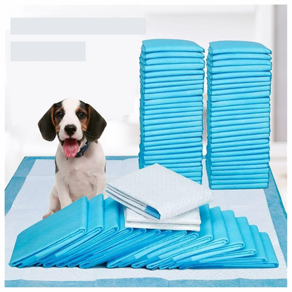 Kit 12 Pads Para Mascota Absorbente