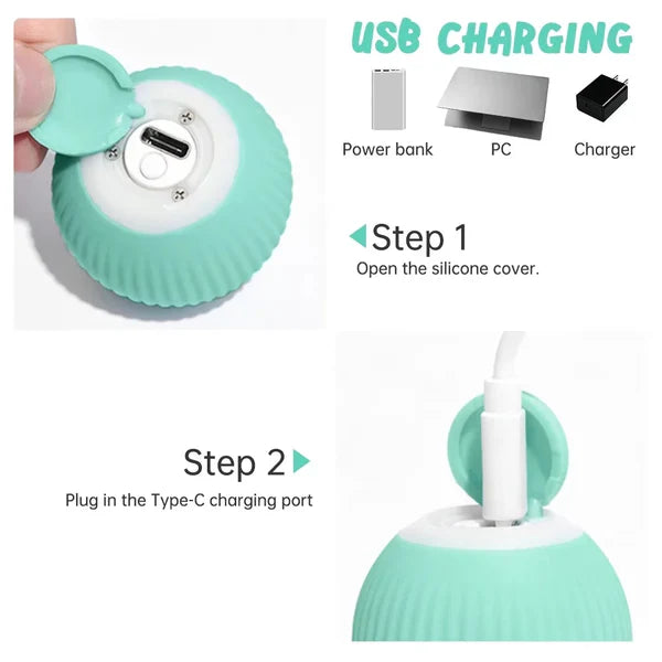 SmartBall Juguete Para Gato
