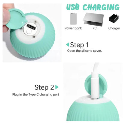 SmartBall Juguete Para Gato